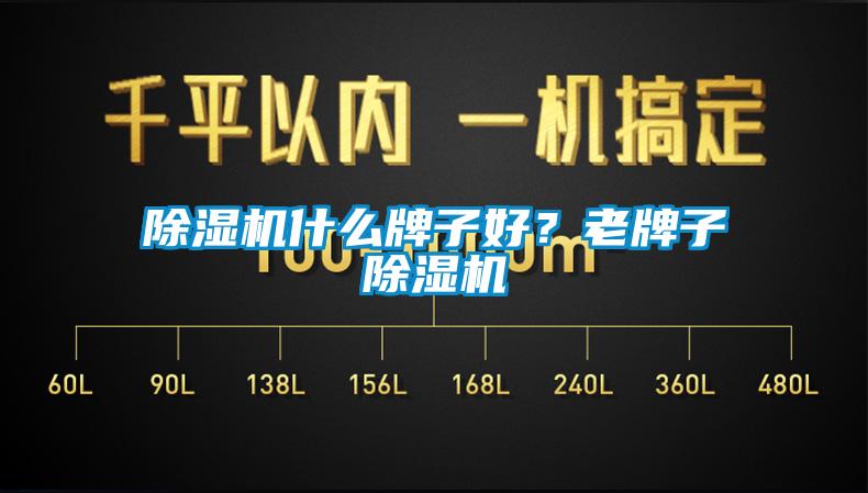 除濕機(jī)什么牌子好？老牌子除濕機(jī)