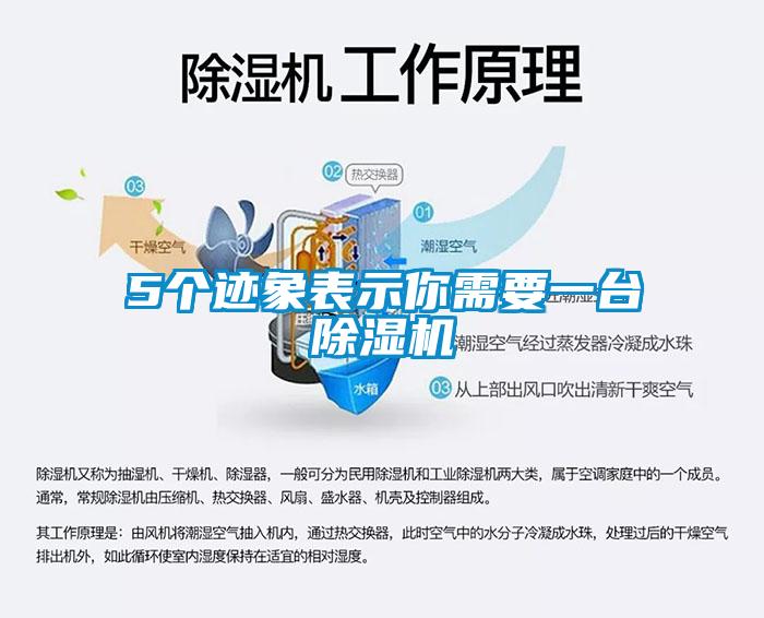 5個跡象表示你需要一臺除濕機(jī)