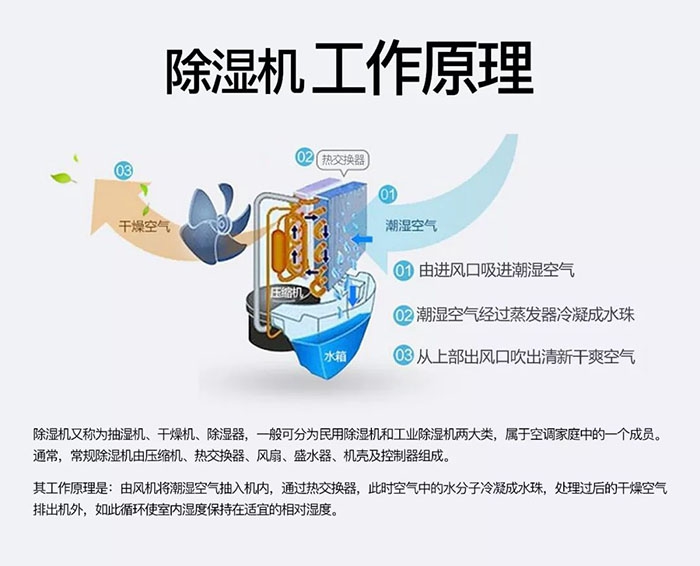 什么品牌除濕機好？買除濕機前先來看看