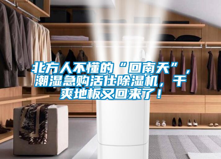 北方人不懂的“回南天”，潮濕急購活仕除濕機，干爽地板又回來了！