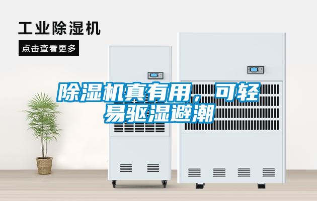 除濕機真有用，可輕易驅濕避潮