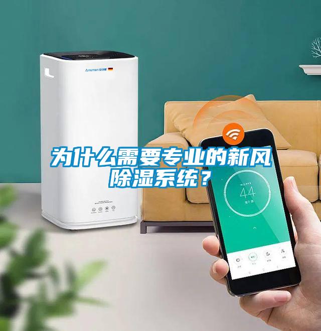 為什么需要專業的新風除濕系統？