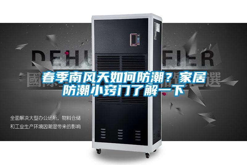 春季南風天如何防潮？家居防潮小竅門了解一下