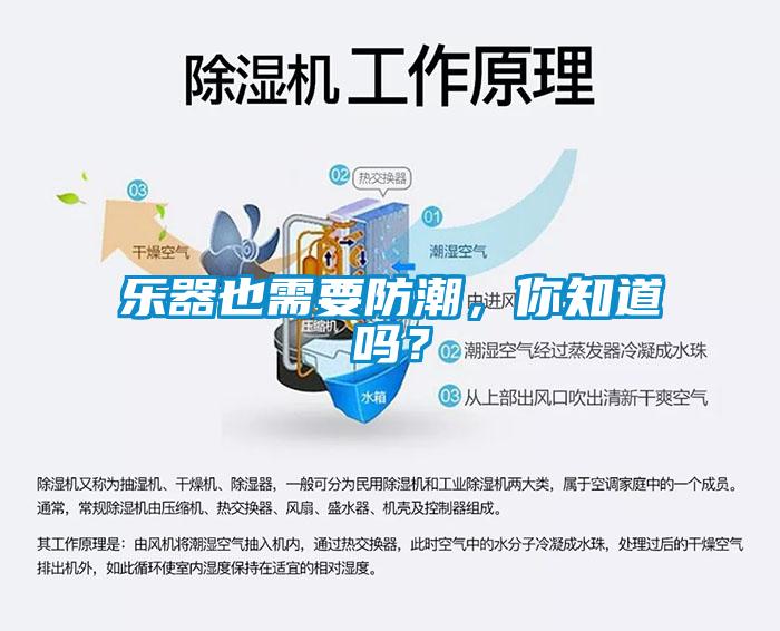 樂器也需要防潮，你知道嗎？