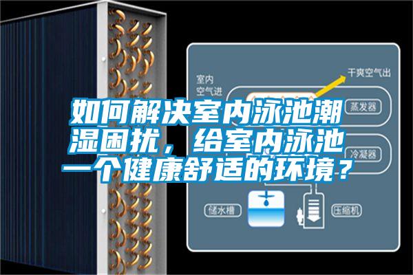 如何解決室內泳池潮濕困擾，給室內泳池一個健康舒適的環境？