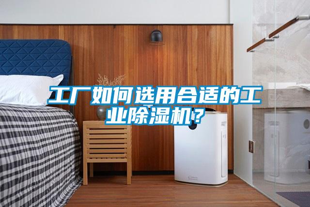 工廠如何選用合適的工業除濕機？
