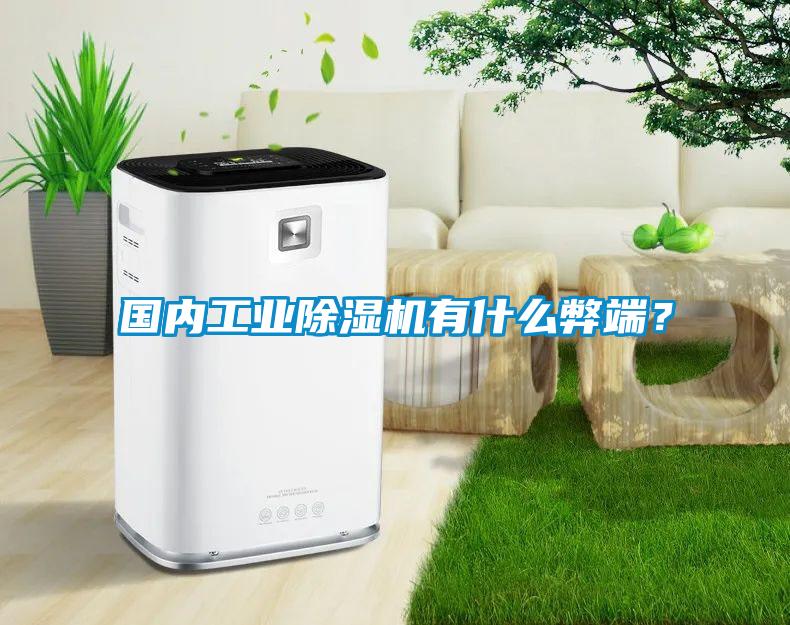 國內(nèi)工業(yè)除濕機(jī)有什么弊端？