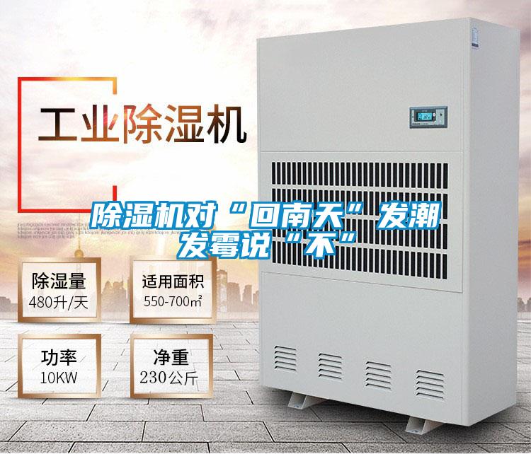除濕機(jī)對(duì)“回南天”發(fā)潮發(fā)霉說“不”