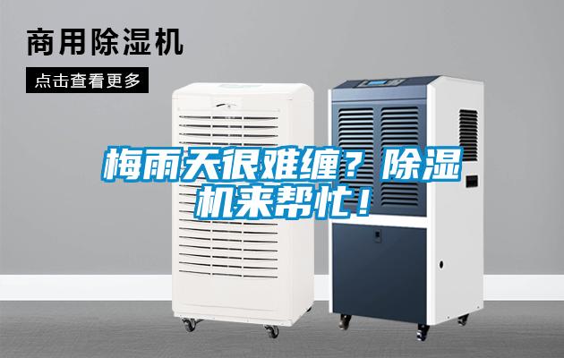 梅雨天很難纏？除濕機(jī)來(lái)幫忙！