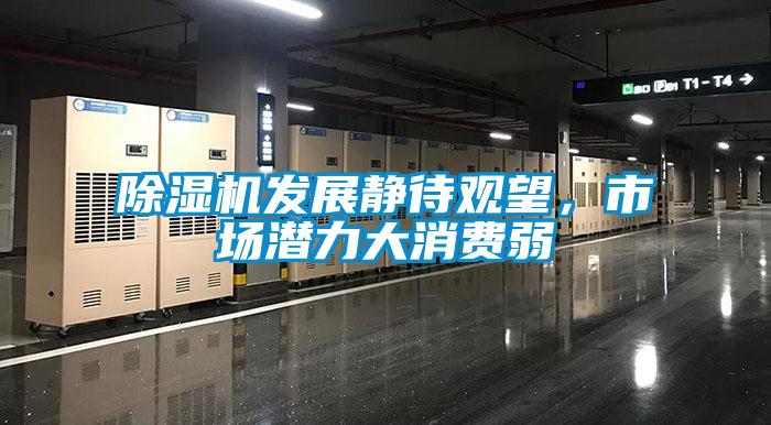 除濕機發展靜待觀望，市場潛力大消費弱