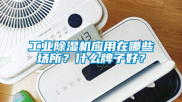 工業(yè)除濕機應用在哪些場所？什么牌子好？