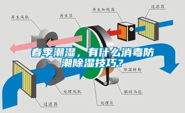 春季潮濕，有什么消毒防潮除濕技巧？