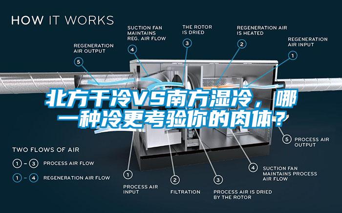 北方干冷VS南方濕冷，哪一種冷更考驗你的肉體？