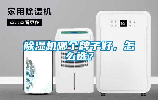 除濕機哪個牌子好，怎么選？