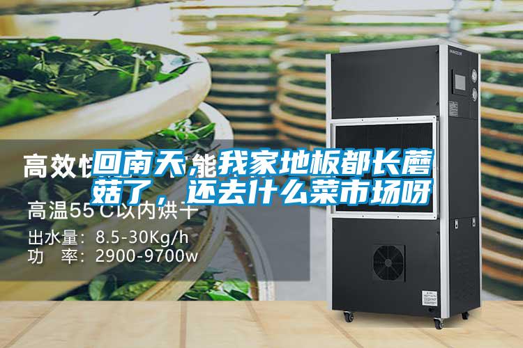 回南天，我家地板都長蘑菇了，還去什么菜市場呀