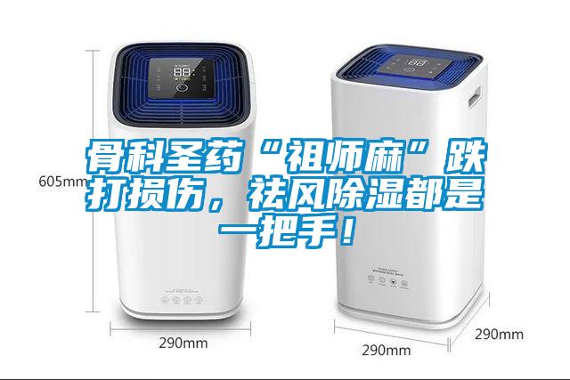 骨科圣藥“祖師麻”跌打損傷，祛風除濕都是一把手！