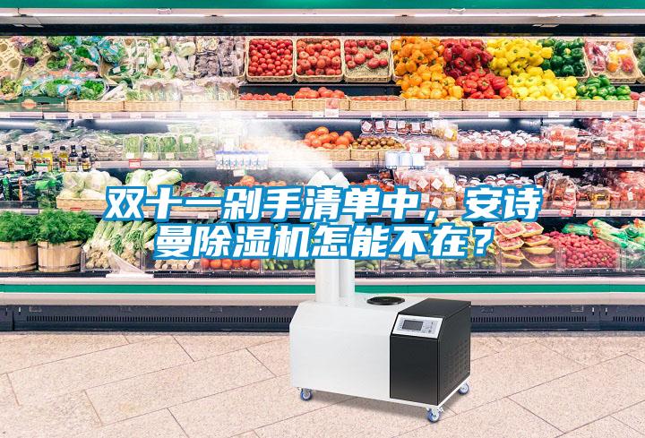 雙十一剁手清單中，安詩(shī)曼除濕機(jī)怎能不在？
