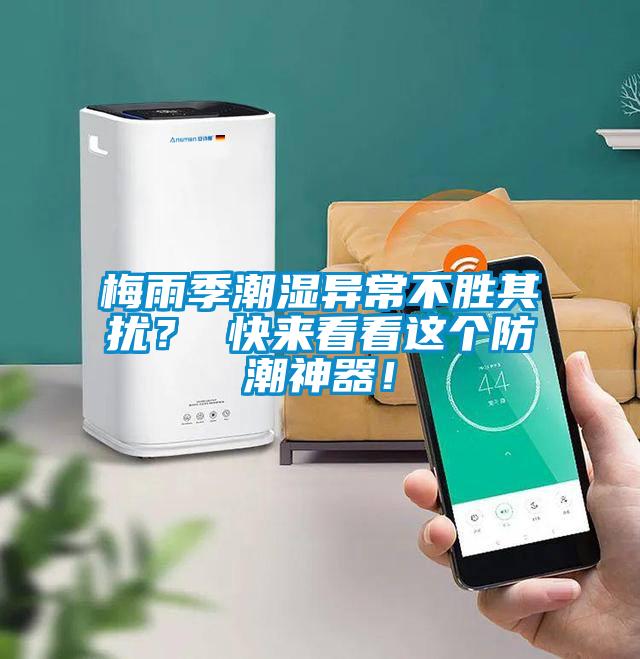 梅雨季潮濕異常不勝其擾？ 快來看看這個防潮神器！