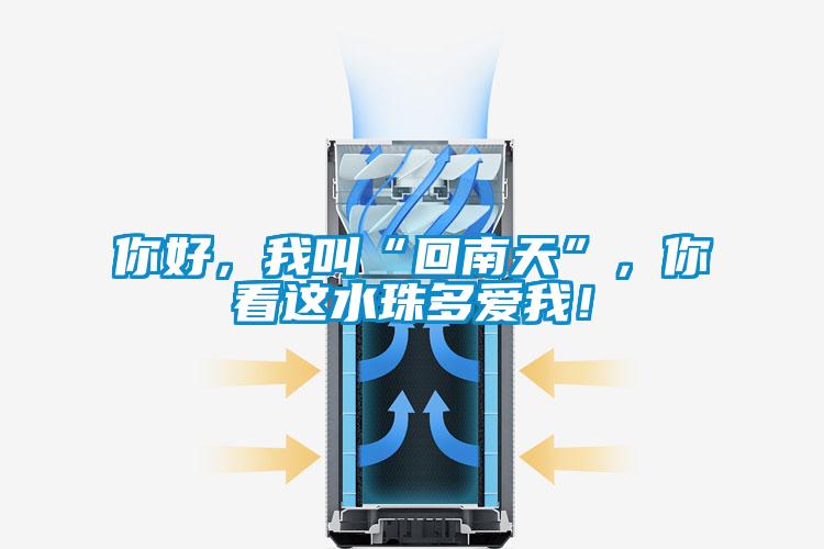 你好，我叫“回南天”，你看這水珠多愛我！
