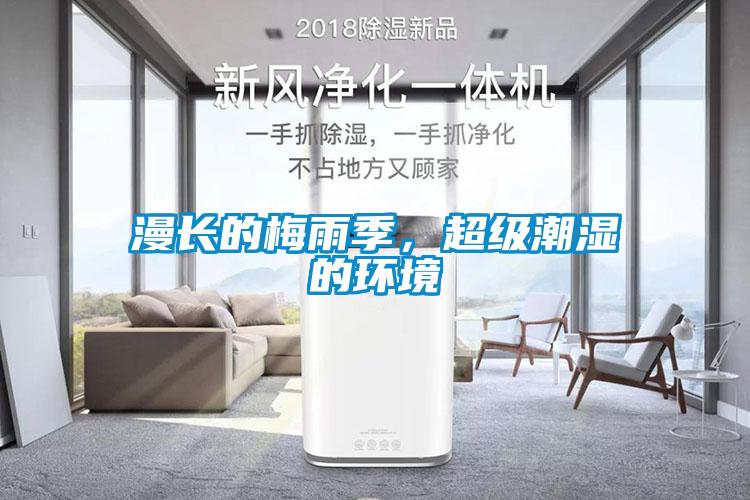 漫長的梅雨季，超級潮濕的環境