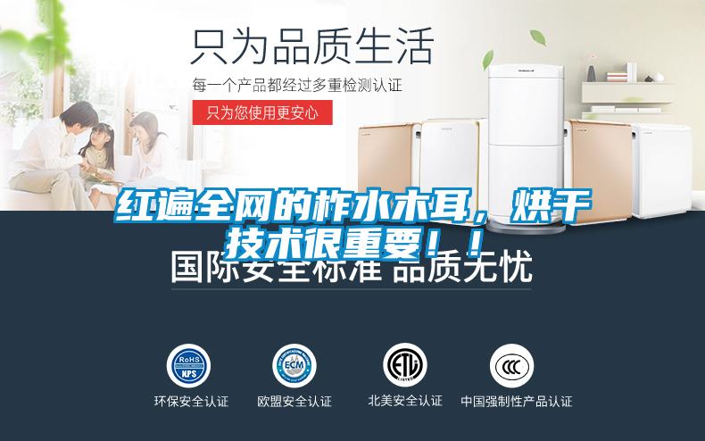 紅遍全網的柞水木耳，烘干技術很重要??！