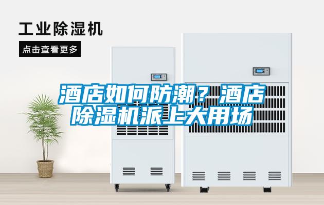 酒店如何防潮？酒店除濕機派上大用場