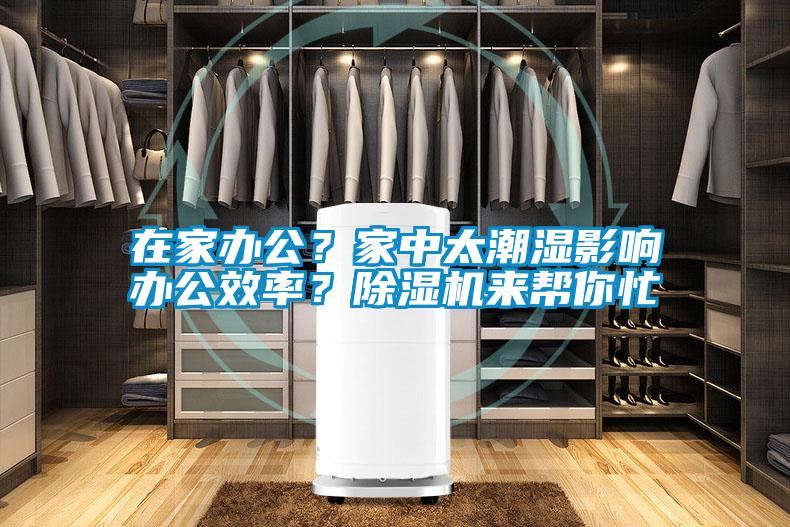 在家辦公？家中太潮濕影響辦公效率？除濕機(jī)來(lái)幫你忙
