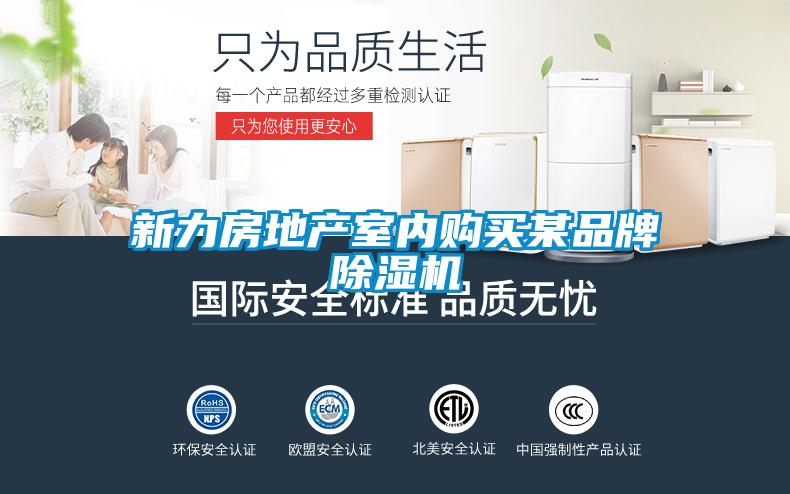 新力房地產(chǎn)室內(nèi)購(gòu)買某品牌除濕機(jī)