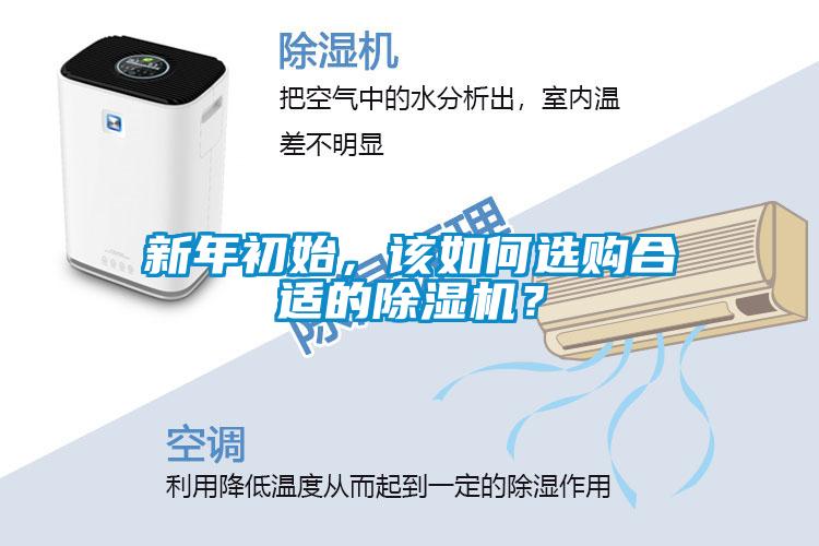 新年初始，該如何選購合適的除濕機？