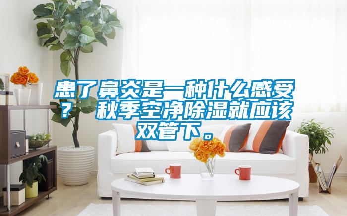 患了鼻炎是一種什么感受？ 秋季空凈除濕就應該雙管下。