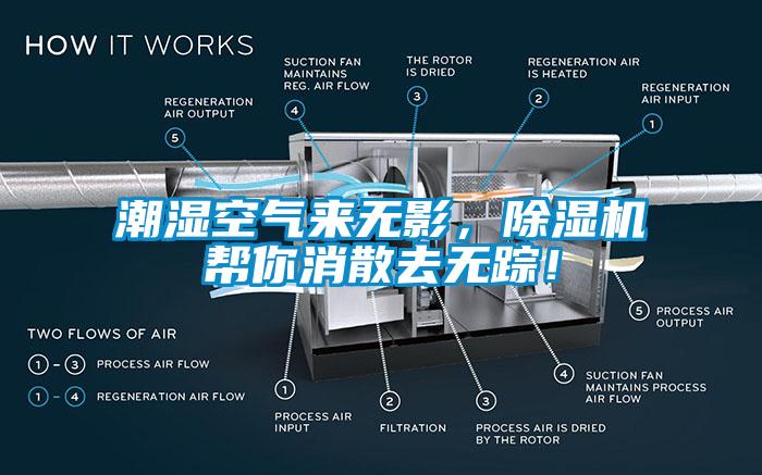 潮濕空氣來無影，除濕機幫你消散去無蹤！