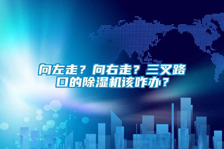 向左走？向右走？三叉路口的除濕機該咋辦？