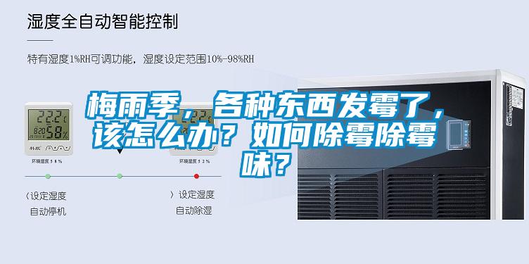 梅雨季，各種東西發(fā)霉了，該怎么辦？如何除霉除霉味？