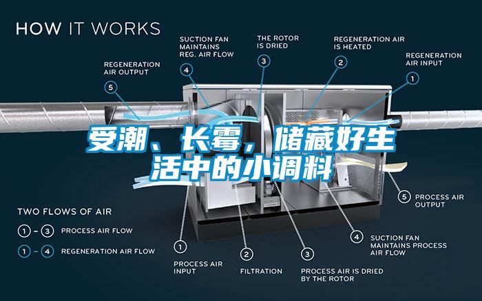 受潮、長霉，儲藏好生活中的小調料