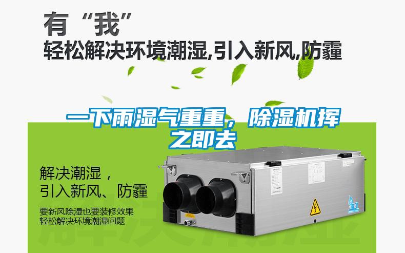一下雨濕氣重重，除濕機揮之即去