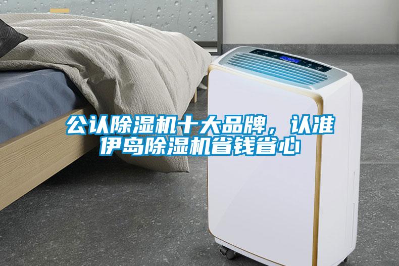 公認除濕機十大品牌，認準伊島除濕機省錢省心
