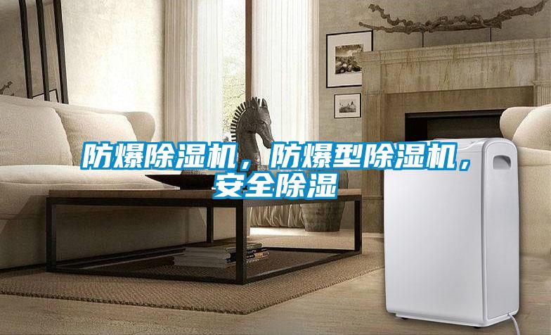 防爆除濕機(jī)，防爆型除濕機(jī)，安全除濕