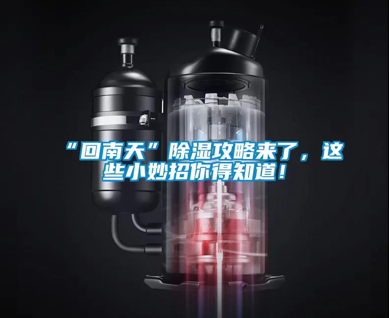 “回南天”除濕攻略來(lái)了，這些小妙招你得知道！