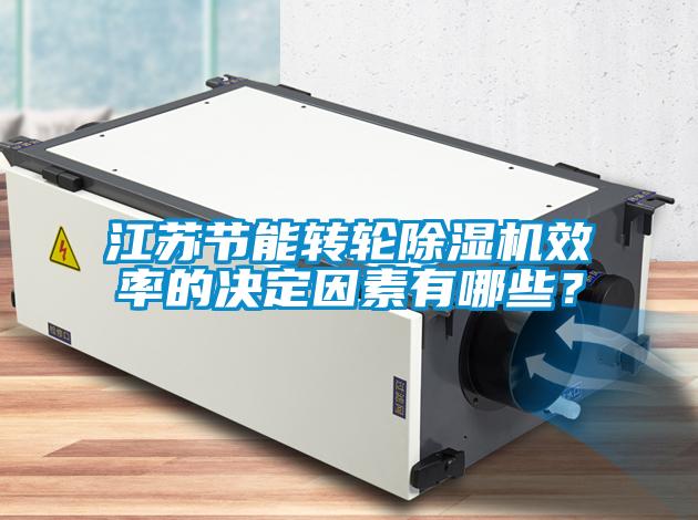 江蘇節(jié)能轉(zhuǎn)輪除濕機(jī)效率的決定因素有哪些？