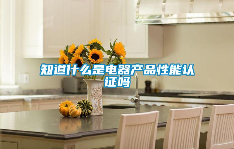知道什么是電器產(chǎn)品性能認證嗎