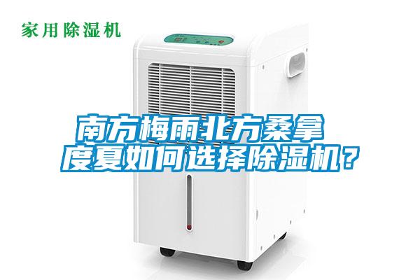 南方梅雨北方桑拿 度夏如何選擇除濕機(jī)？