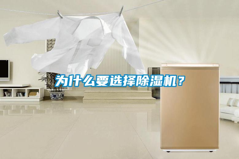 為什么要選擇除濕機？