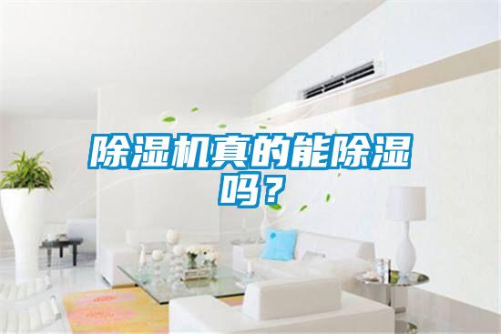 除濕機(jī)真的能除濕嗎？