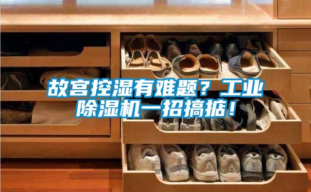 故宮控濕有難題？工業除濕機一招搞掂！