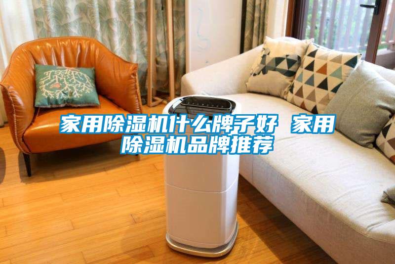 家用除濕機(jī)什么牌子好 家用除濕機(jī)品牌推薦