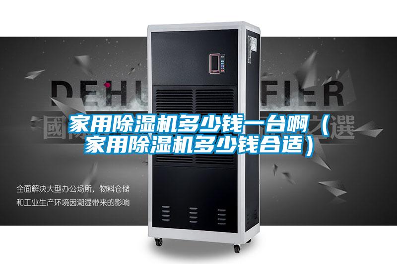 家用除濕機(jī)多少錢一臺(tái)啊(家用除濕機(jī)多少錢合適)