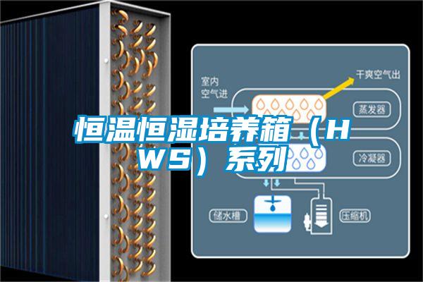 恒溫恒濕培養(yǎng)箱(HWS)系列