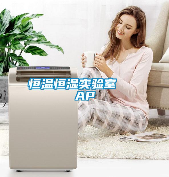恒溫恒濕實(shí)驗(yàn)室 AP