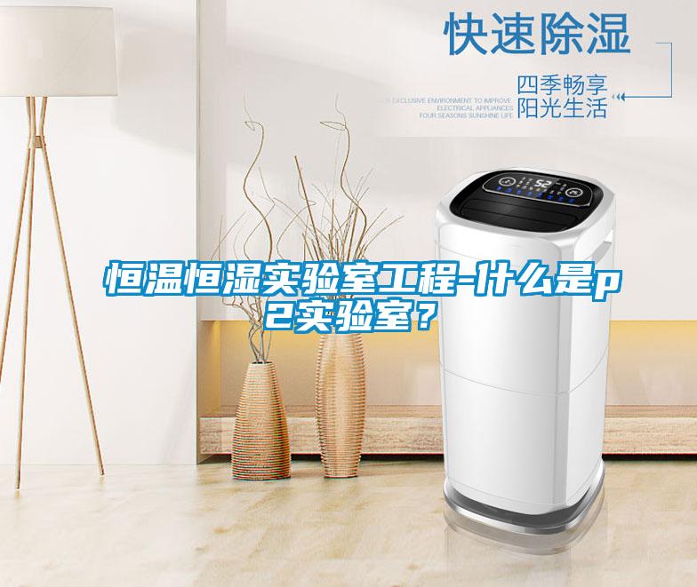 恒溫恒濕實(shí)驗(yàn)室工程-什么是p2實(shí)驗(yàn)室?