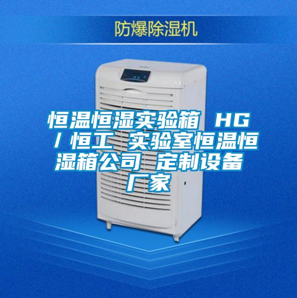 恒溫恒濕實驗箱 HG／恒工 實驗室恒溫恒濕箱公司 定制設(shè)備廠家